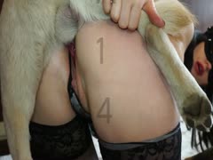 Two k9 fucks a MILF's pussy hard on the floor